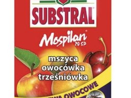 Jak zwalczać mszyce w ogrodzie